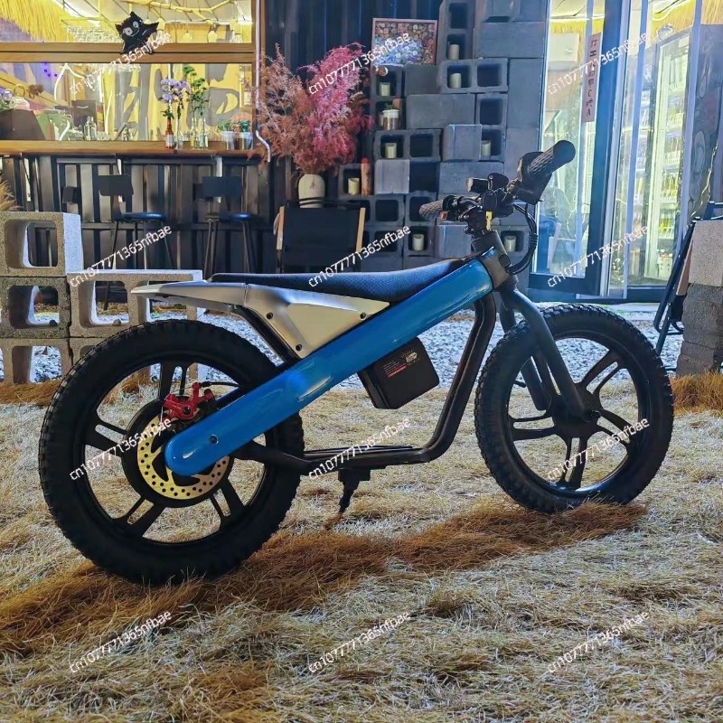 16 Inch Kids Electric Balance  - Kids Ride On Suitcase Scooter 评论和价格