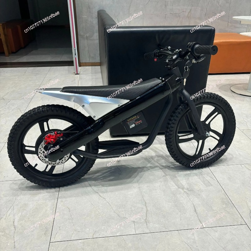 16 Inch Kids Electric Balance  - Kids Ride On Suitcase Scooter 评论和价格
