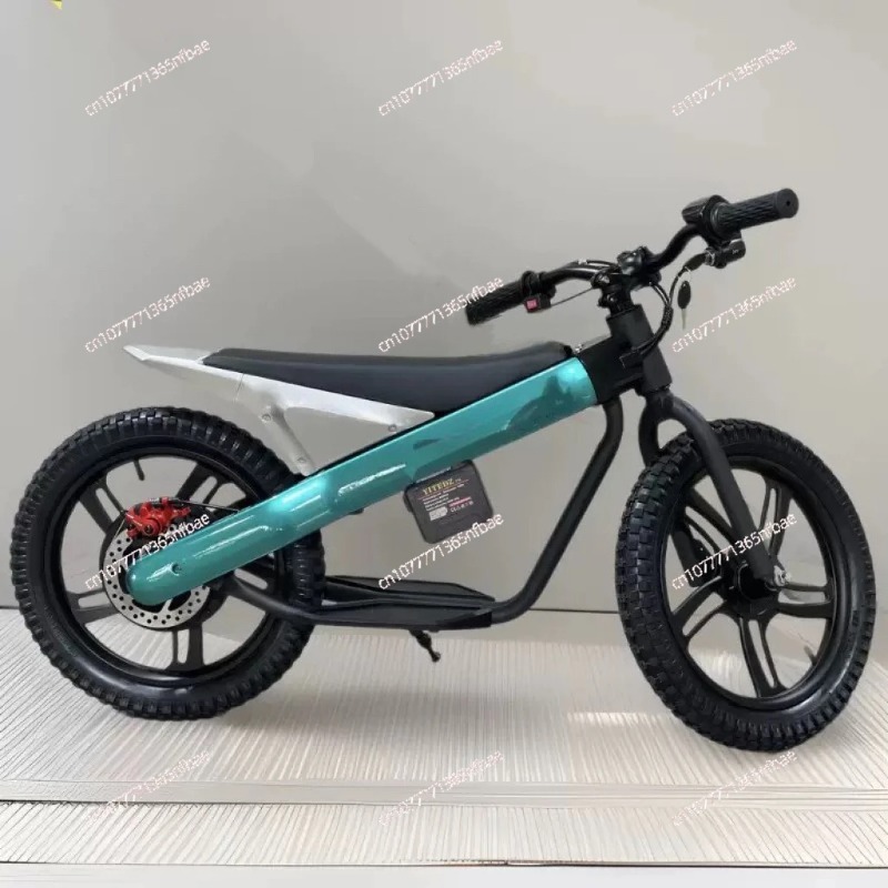 16 Inch Kids Electric Balance  - Kids Ride On Suitcase Scooter 评论和价格