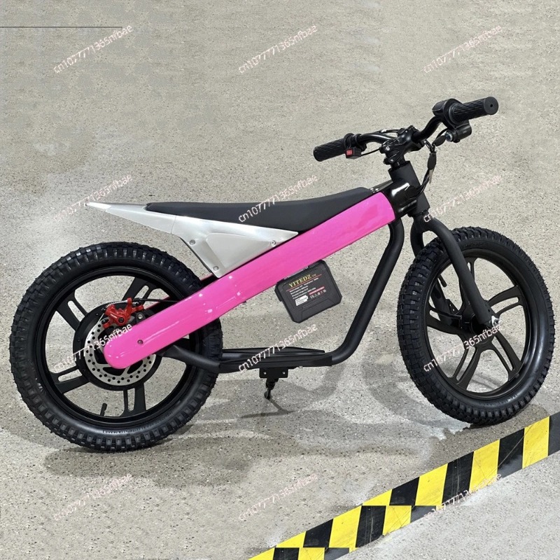 16 Inch Kids Electric Balance  - Kids Ride On Suitcase Scooter 评论和价格