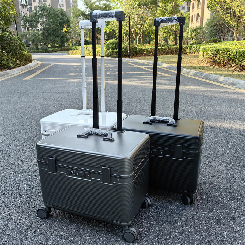 New Captain's Travel Case Flip - Foldable Rolling Luggage Bag 评论和价格