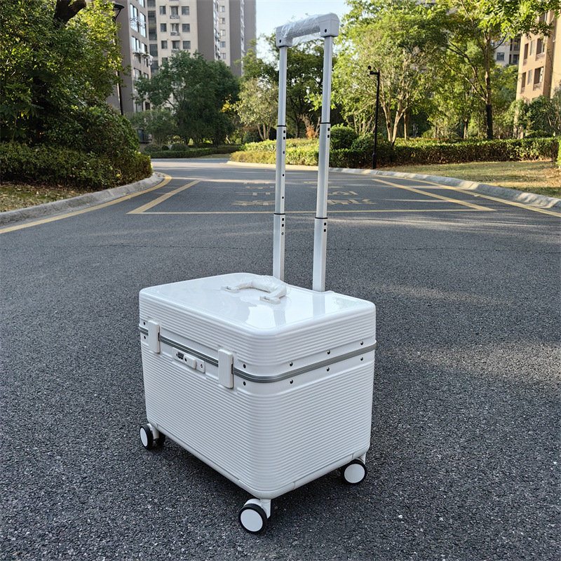 New Captain's Travel Case Flip - Foldable Rolling Luggage Bag 评论和价格